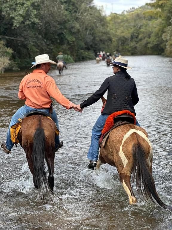 Casal a cavalo, de mãos dadas, atravessando um rio raso entre a mata
